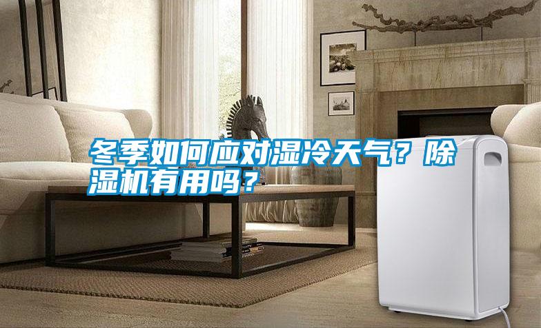 冬季如何應(yīng)對濕冷天氣？除濕機有用嗎？