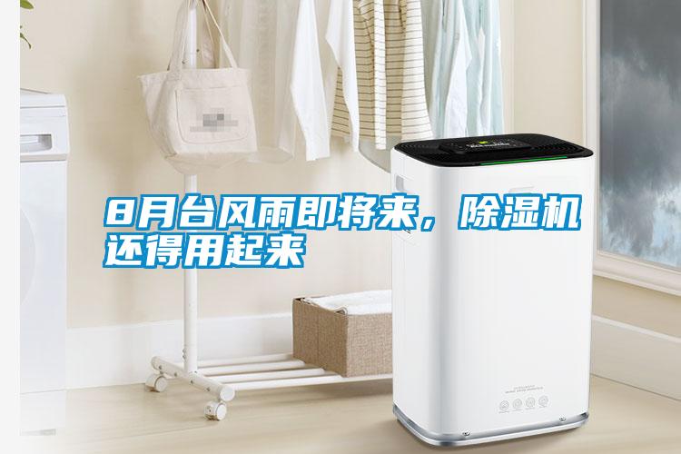 8月臺風雨即將來，除濕機還得用起來