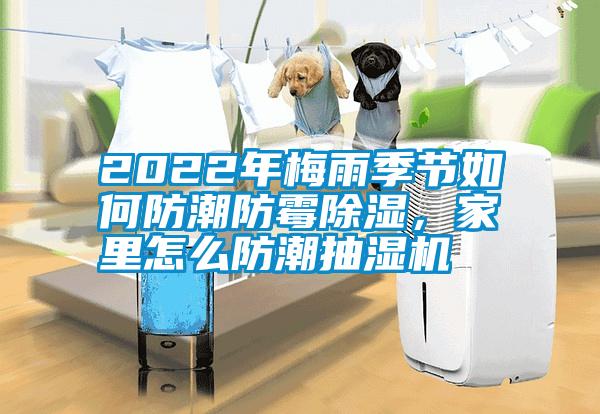 2022年梅雨季節(jié)如何防潮防霉除濕，家里怎么防潮抽濕機