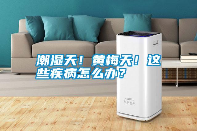 潮濕天！黃梅天！這些疾病怎么辦？