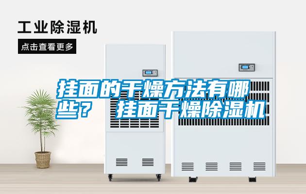 掛面的干燥方法有哪些？ 掛面干燥除濕機
