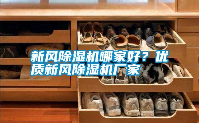 新風除濕機哪家好？優(yōu)質(zhì)新風除濕機廠家