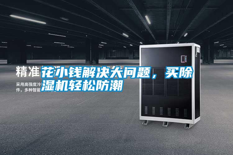 花小錢解決大問題，買除濕機輕松防潮