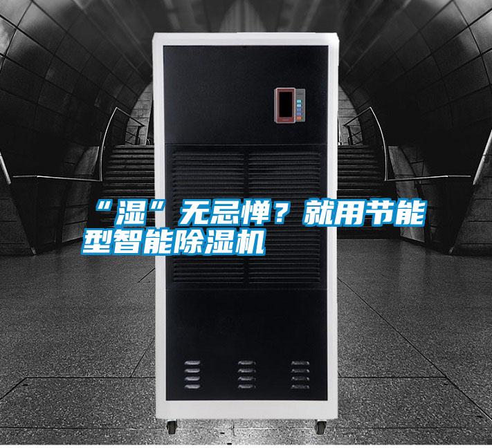 “濕”無忌憚？就用節(jié)能型智能除濕機