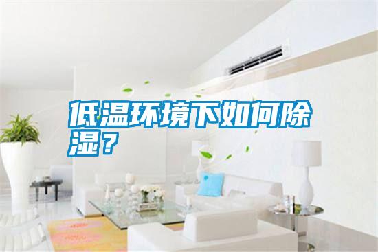 低溫環(huán)境下如何除濕？