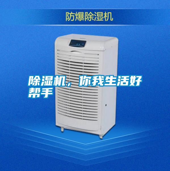 除濕機，你我生活好幫手