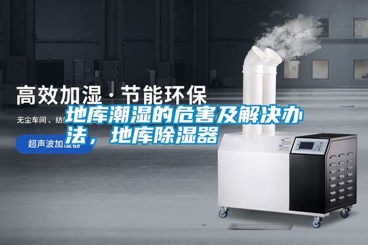 地庫潮濕的危害及解決辦法，地庫除濕器
