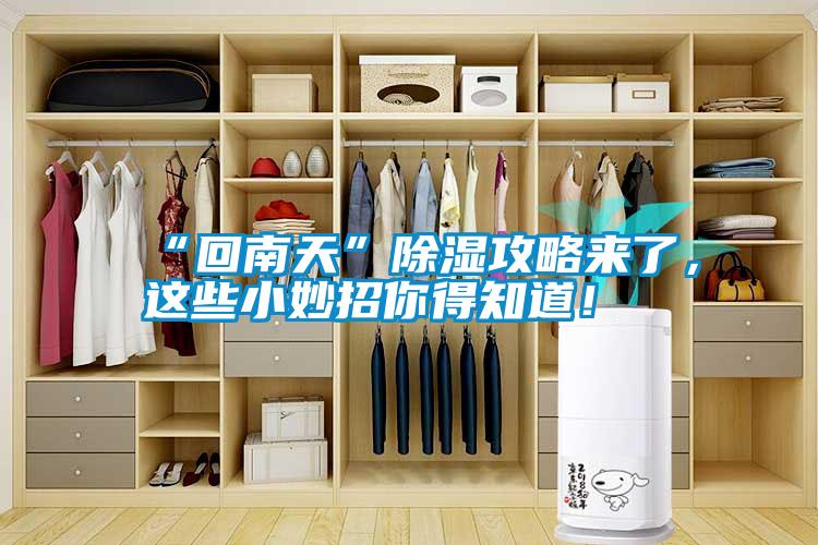 “回南天”除濕攻略來了，這些小妙招你得知道！
