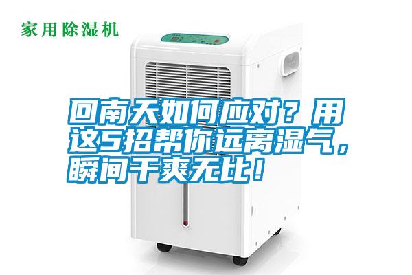 回南天如何應(yīng)對(duì)？用這5招幫你遠(yuǎn)離濕氣，瞬間干爽無(wú)比！