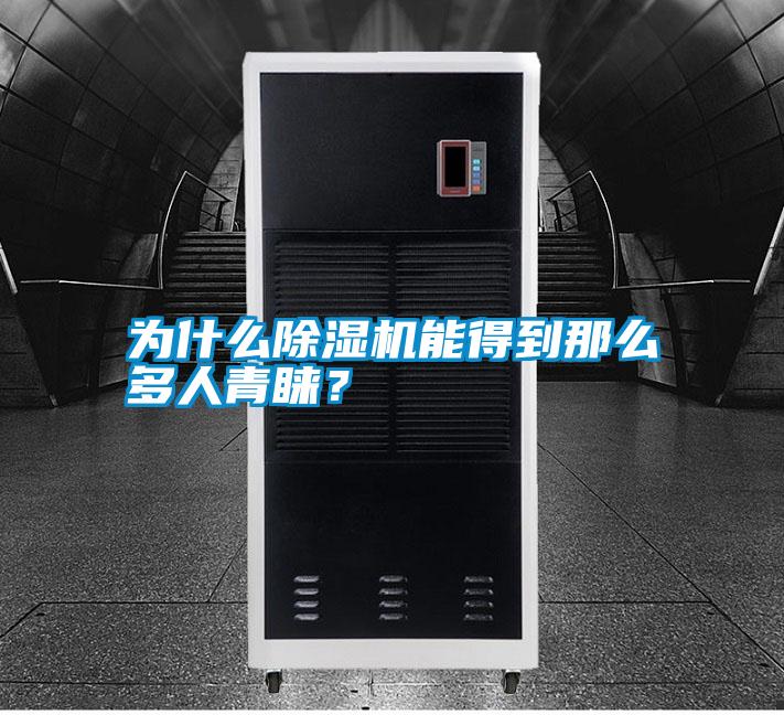 為什么除濕機能得到那么多人青睞？