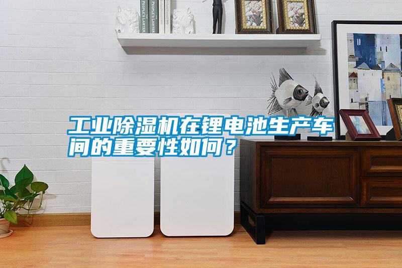 工業(yè)除濕機在鋰電池生產(chǎn)車間的重要性如何？