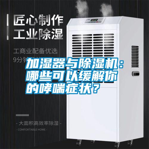 加濕器與除濕機：哪些可以緩解你的哮喘癥狀？