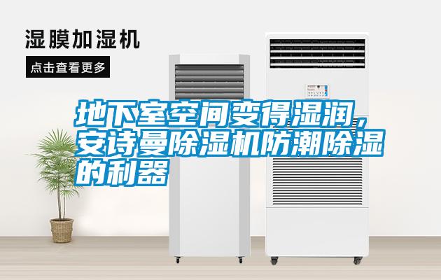 地下室空間變得濕潤，安詩曼除濕機(jī)防潮除濕的利器