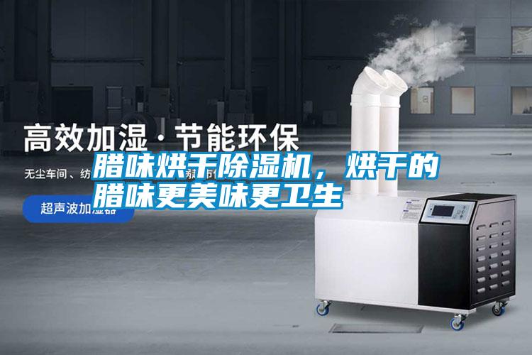 臘味烘干除濕機(jī)，烘干的臘味更美味更衛(wèi)生