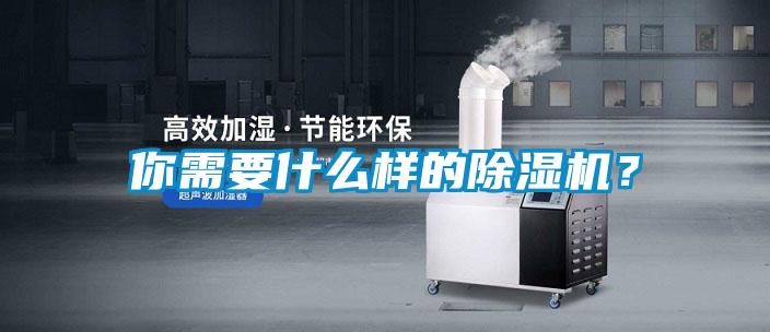 你需要什么樣的除濕機？