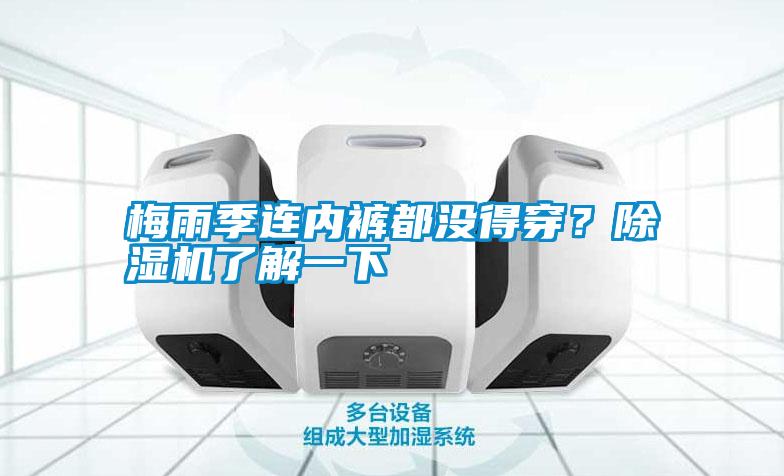 梅雨季連內(nèi)褲都沒(méi)得穿？除濕機(jī)了解一下