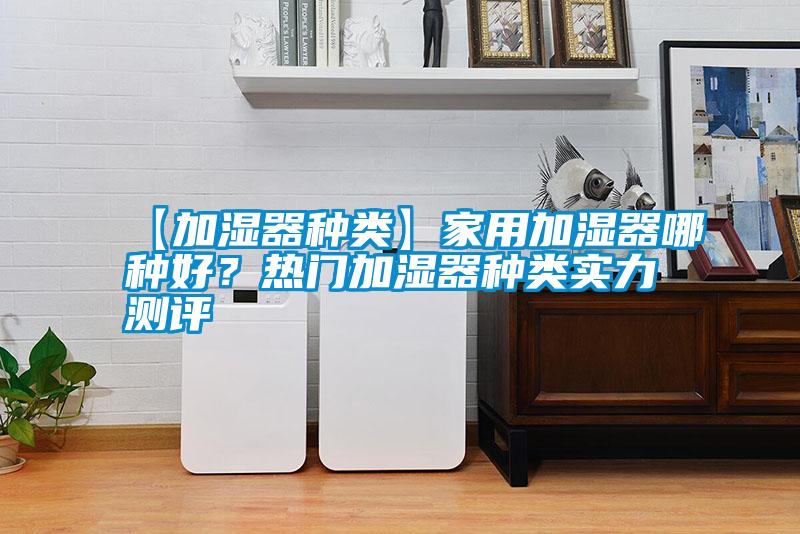 【加濕器種類】家用加濕器哪種好？熱門加濕器種類實力測評