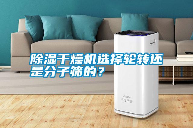 除濕干燥機選擇輪轉(zhuǎn)還是分子篩的？