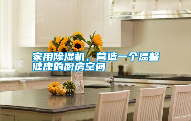 家用除濕機(jī)，營造一個(gè)溫馨健康的廚房空間