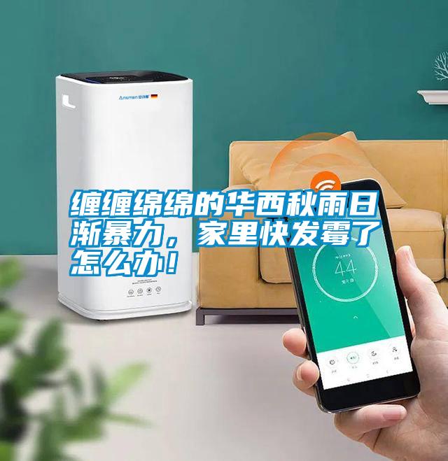 纏纏綿綿的華西秋雨日漸暴力，家里快發(fā)霉了怎么辦！