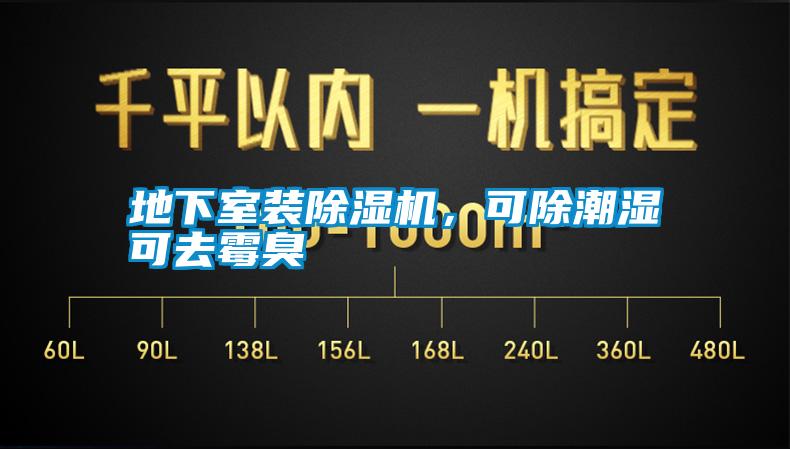 地下室裝除濕機(jī)，可除潮濕可去霉臭