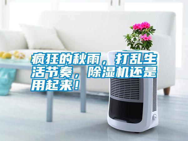 瘋狂的秋雨，打亂生活節(jié)奏，除濕機還是用起來！