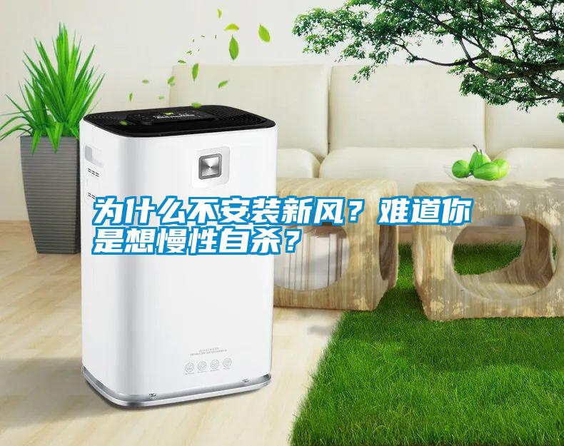 為什么不安裝新風(fēng)？難道你是想慢性自殺？