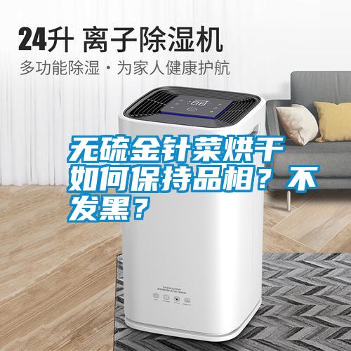 無硫金針菜烘干如何保持品相？不發(fā)黑？