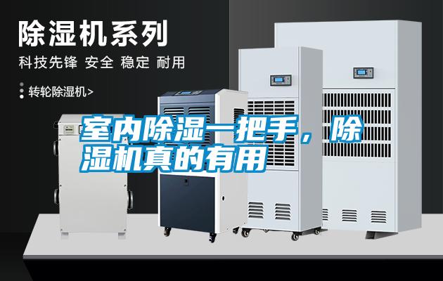 室內(nèi)除濕一把手，除濕機(jī)真的有用