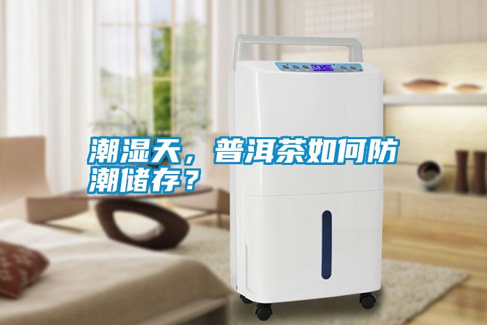 潮濕天，普洱茶如何防潮儲(chǔ)存？