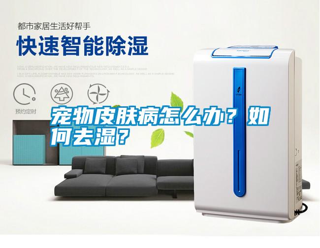 寵物皮膚病怎么辦？如何去濕？