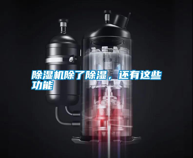 除濕機(jī)除了除濕，還有這些功能