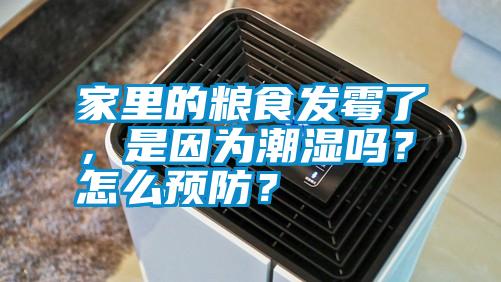 家里的糧食發(fā)霉了，是因?yàn)槌睗駟?？怎么預(yù)防？