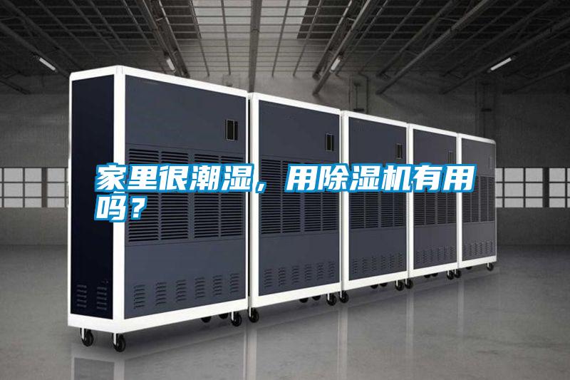 家里很潮濕，用除濕機(jī)有用嗎？