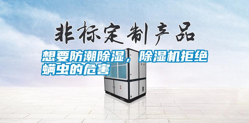 想要防潮除濕，除濕機(jī)拒絕螨蟲(chóng)的危害