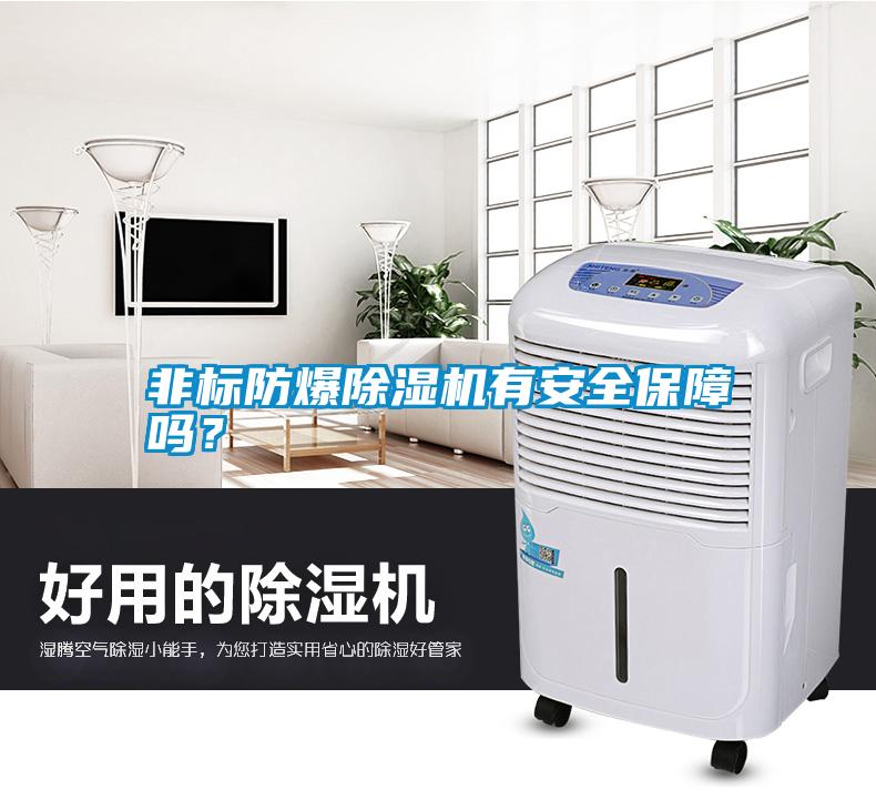 非標防爆除濕機有安全保障嗎？
