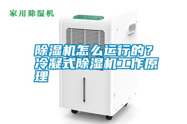 除濕機(jī)怎么運(yùn)行的？冷凝式除濕機(jī)工作原理