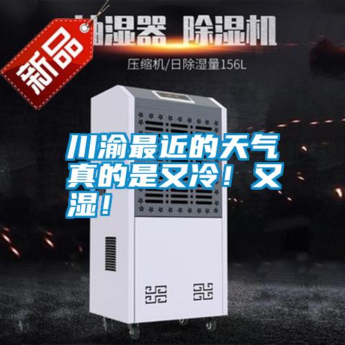 川渝最近的天氣真的是又冷！又濕！