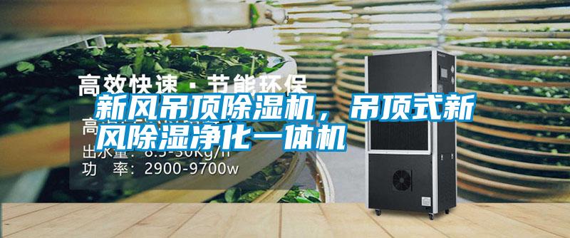 新風吊頂除濕機，吊頂式新風除濕凈化一體機
