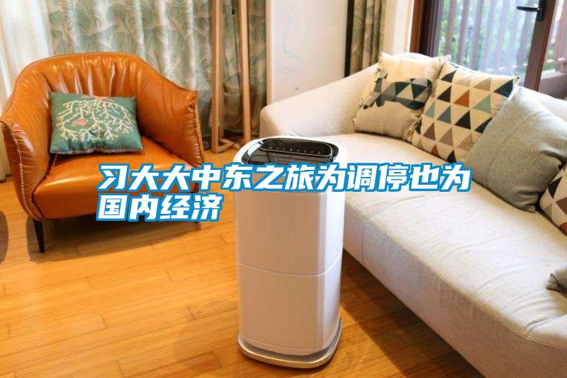習(xí)大大中東之旅為調(diào)停也為國內(nèi)經(jīng)濟