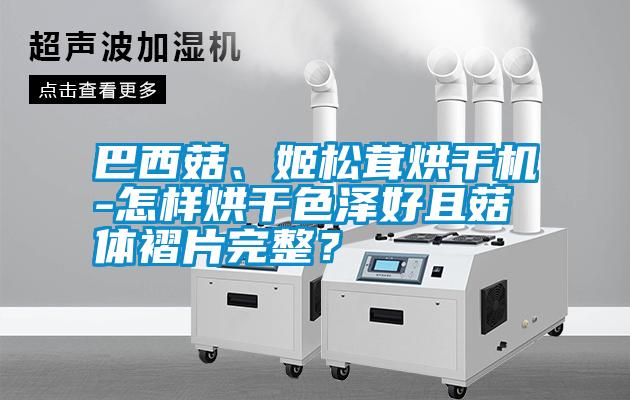 巴西菇、姬松茸烘干機(jī)-怎樣烘干色澤好且菇體褶片完整？