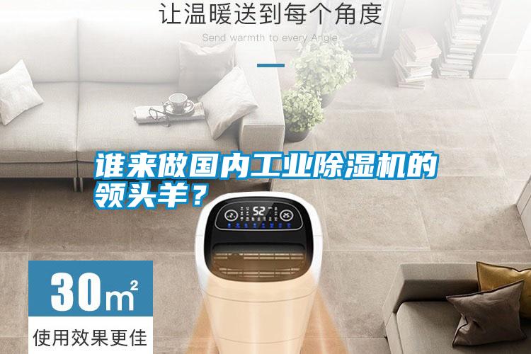 誰來做國內(nèi)工業(yè)除濕機的領(lǐng)頭羊？
