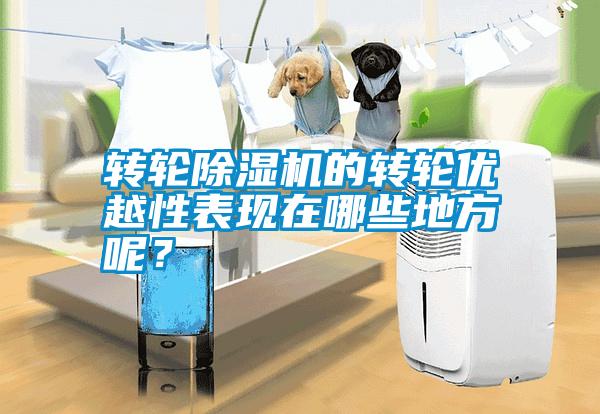 轉(zhuǎn)輪除濕機(jī)的轉(zhuǎn)輪優(yōu)越性表現(xiàn)在哪些地方呢？