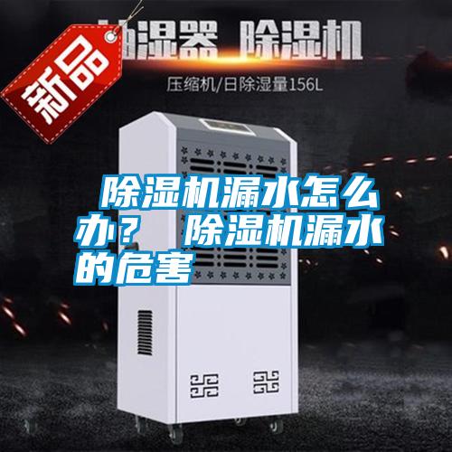  除濕機漏水怎么辦？ 除濕機漏水的危害