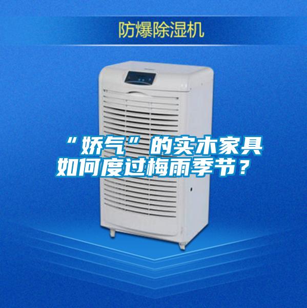 “嬌氣”的實(shí)木家具如何度過(guò)梅雨季節(jié)？