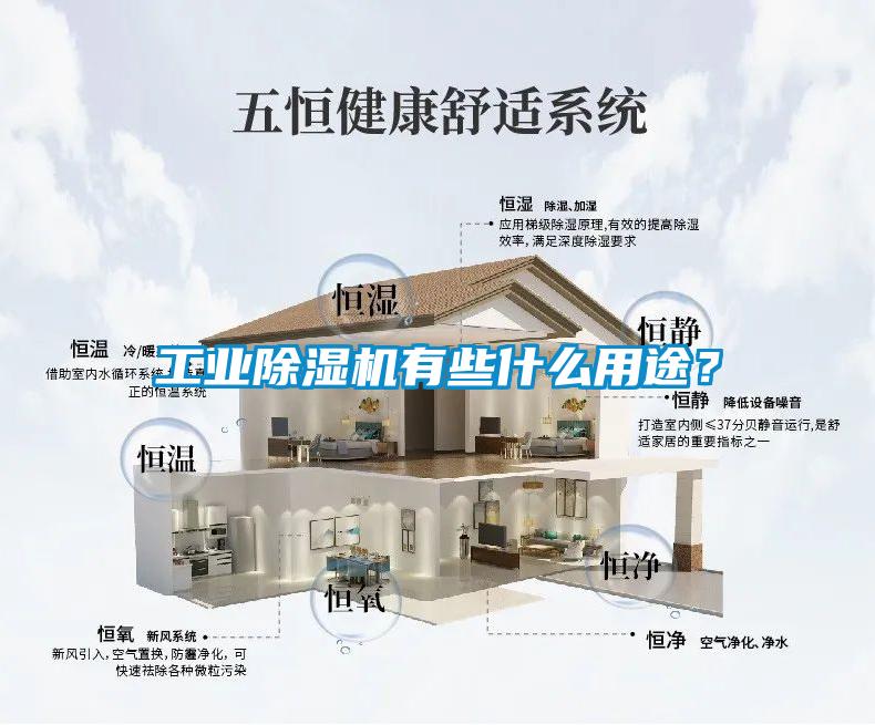 工業(yè)除濕機有些什么用途？