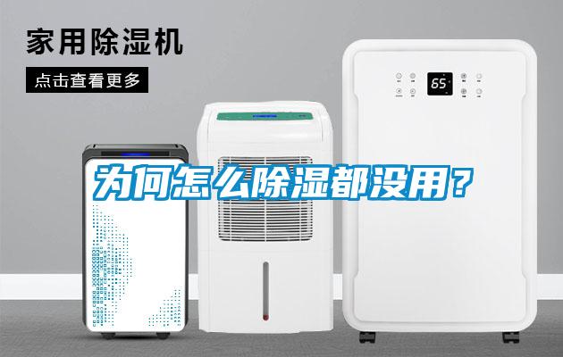 為何怎么除濕都沒(méi)用？