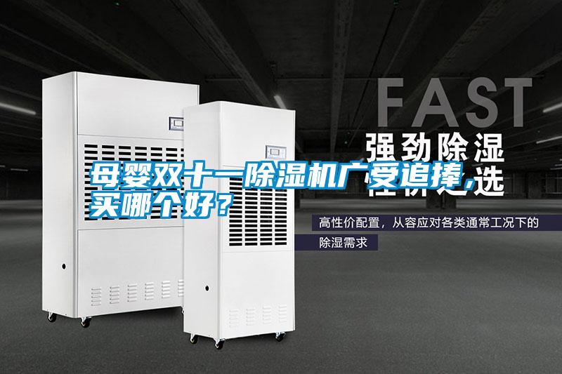 母嬰雙十一除濕機廣受追捧，買哪個好？