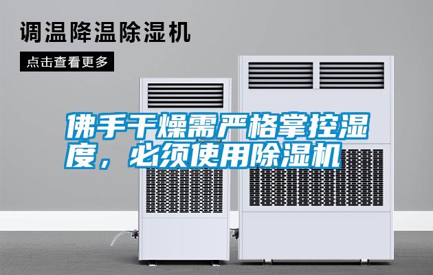 佛手干燥需嚴格掌控濕度，必須使用除濕機