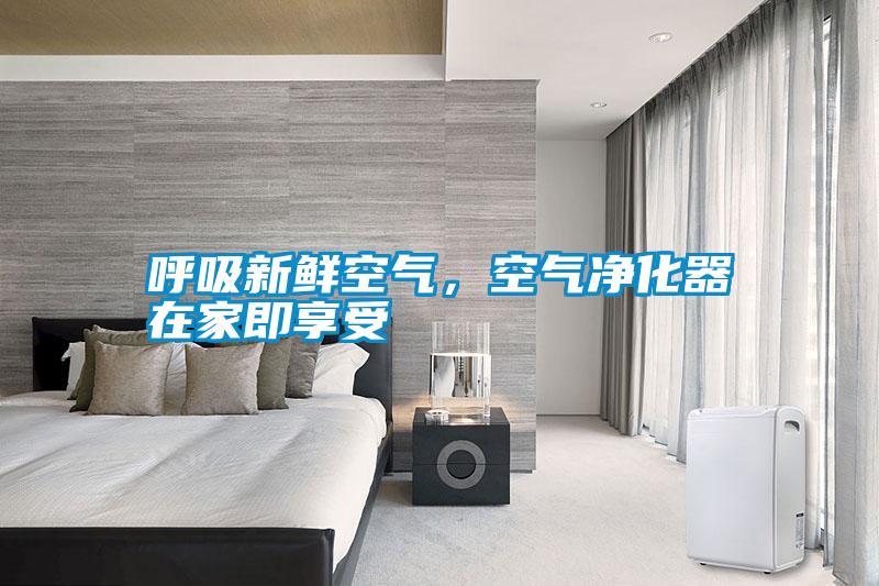 呼吸新鮮空氣，空氣凈化器在家即享受